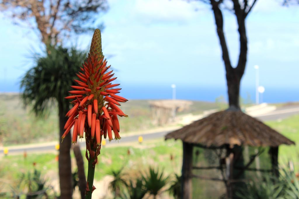 Hotel Quinta Do Serrado Porto Santo Extérieur photo